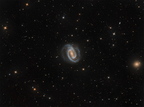 NGC1300 (2853 visits) NGC 1300 est une galaxie spirale barrée de grand style située dans la constellation de l'Éridan.
... NGC1300