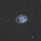 M1