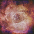 La Rosette