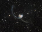 NGC4038