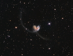 ngc 4038