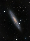Galaxie du sculpteur NGC253