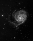 M101 Galaxie du Moulinet  couche de Luminance