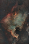 NGC7000 nébuleuse de l'Amérique du Nord