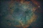 IC 1396 et nébuleuse de la trompe de l'éléphant