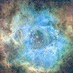 Rosette