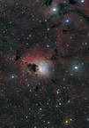 NGC2626