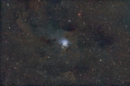 Nébuleuse de l'Iris