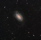 M63