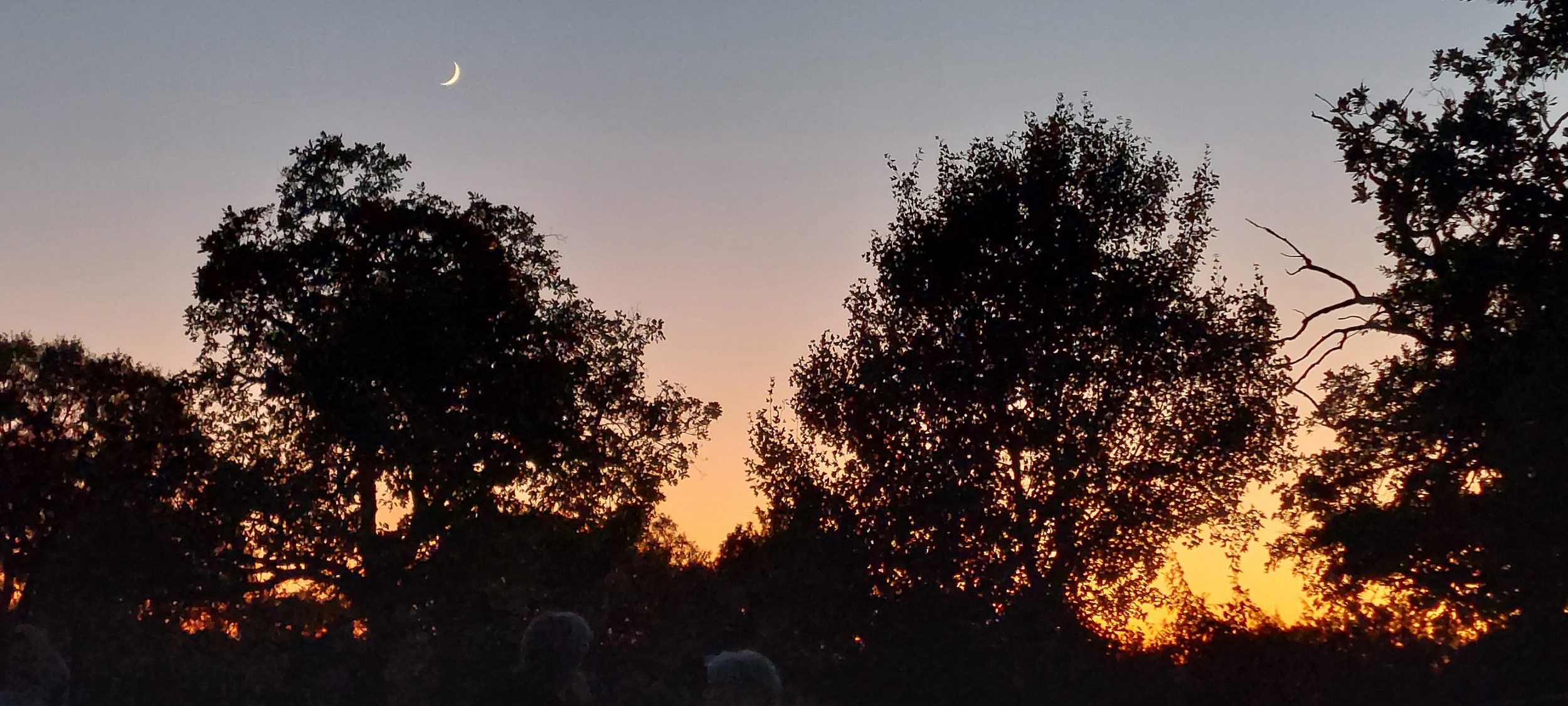 JALLE ASTRONOMIE a fêté les ETOILES à THEMINES dans le LOT