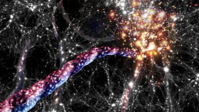 CONFERENCE  « les grandes structures de l’univers »,  JALLE ASTRONOMIE le 10 novembre 2023