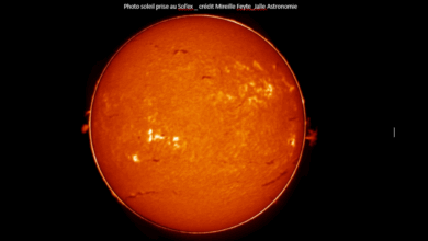 FÊTE DU SOLEIL JALLE ASTRONOMIE  _  21 juin 2025