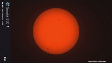 APERCU DE LA FETE DU SOLEIL 2025