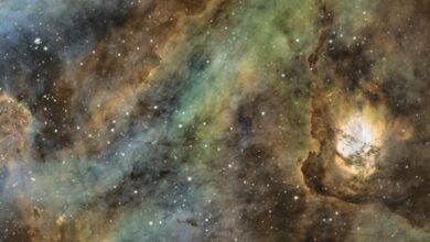 Imagerie Ciel Austral