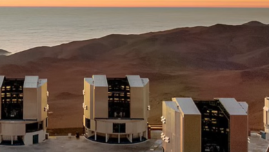 CONFERENCE-VISIOCONFERENCE 24 AVRIL2026