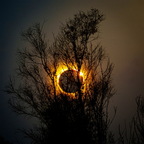 Le soleil noir de la mélancolie