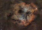 IC 1396 au Seestar (30 visites) La nébuleuse de la trompe de l'éléphant au Seestar S50 Pro.
Mosaïque de 1239 photos de 20 et 30s... IC 1396 au Seestar
